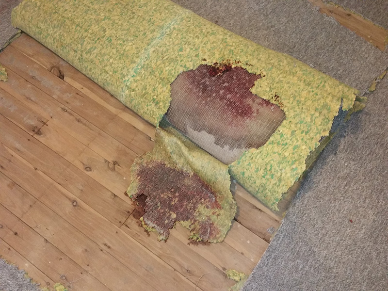 Removal of Unattended Death Blood on Carpet