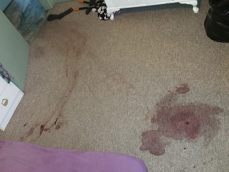 Blood and Floor